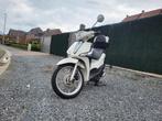Piaggio Liberty 125, Scooter, Bedrijf, 125 cc, 11 kW of minder