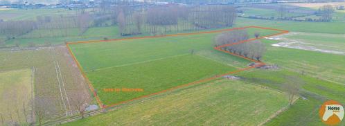 Grond te koop in Herzele Hillegem, Immo, Gronden en Bouwgronden, 1500 m² of meer