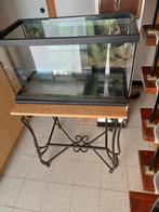aqarium 60 cm met tafeltje, Animaux & Accessoires, Poissons | Aquariums & Accessoires, Enlèvement, Utilisé, Aquarium vide