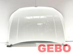 Volkswagen Golf 8 2020+ motorkap LC9A 5H0 823 031 H, Auto-onderdelen, Nieuw, Ophalen of Verzenden, Motorkap, Volkswagen