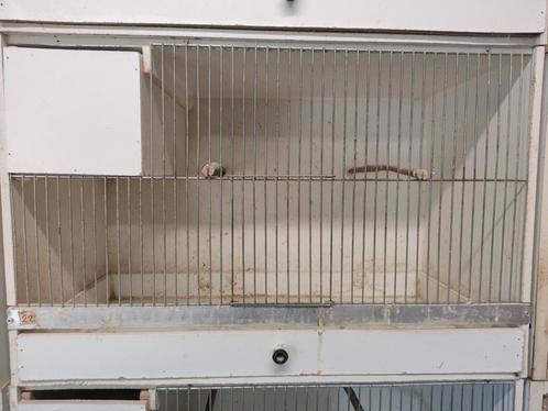 Kweekkooien broedkooien, Animaux & Accessoires, Oiseaux | Cages & Volières, Utilisé, Cage d'élevage, Bois, Enlèvement ou Envoi