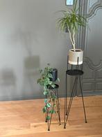 Plant staanders, Enlèvement, Comme neuf