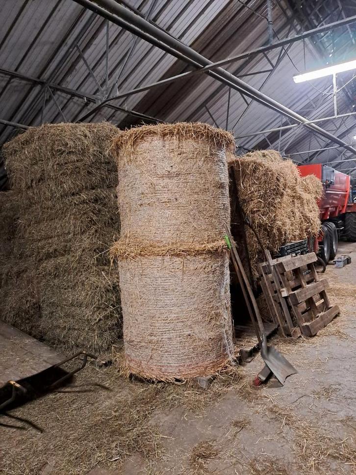 Stro te koop klein en groot + ronde stro en hooi, Articles professionnels, Agriculture | Aliments pour bétail, Enlèvement