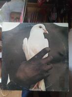 LP Santana (1974), CD & DVD, Vinyles | Rock, Enlèvement ou Envoi