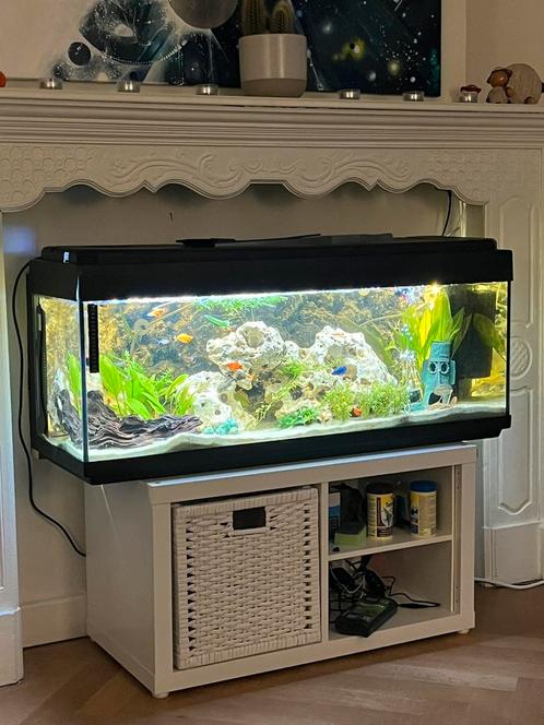 Aquarium (verwarming, filters, decoratie, vissen inbegrepen), Animaux & Accessoires, Poissons | Aquariums & Accessoires, Comme neuf