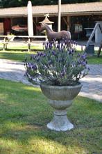 Vases de jardin anciens en béton, Jardin & Terrasse, Enlèvement, Utilisé