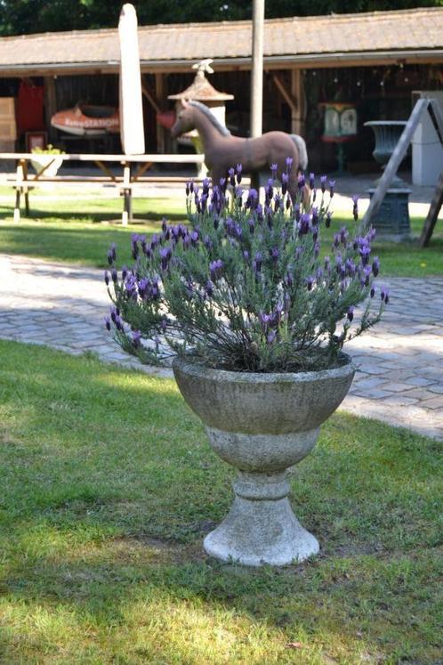 Vases de jardin anciens en béton, Jardin & Terrasse, Vases de jardin, Utilisé, Enlèvement