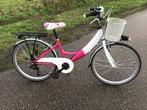 Meisjesfiets 22 inch, Fietsen en Brommers, Ophalen of Verzenden, 22 inch