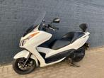 Honda forza 300 2014 8712Km met garantie, Motoren, Motoren | Honda, 300 cc, Bedrijf, Minimaal motorrijbewijs A2, ABS