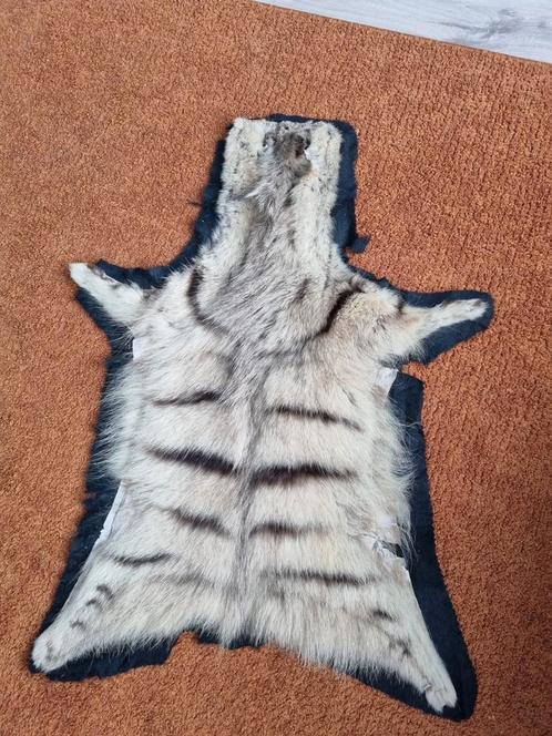 Huid van Aardwolf (Hyena soort), Huis en Inrichting, Woonaccessoires | Plaids en Woondekens, Zo goed als nieuw, Ophalen of Verzenden