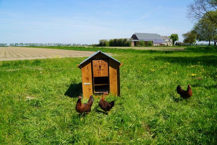 Trespa Kippenhok / Classic L - Cucciolotta, Dieren en Toebehoren, Pluimvee | Toebehoren, Nieuw, Kippenhok of Kippenren, Ophalen of Verzenden