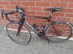 Pinarello rokh Shimano 105, Carbon, Nieuw, Overige maten, Ophalen