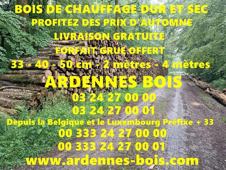 Haardhout LENTEPRIJS 33-40-50 cm 2m-4m 64E/st, Tuin en Terras, Brandhout, Blokken, Beukenhout, Verzenden
