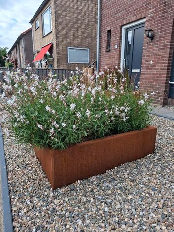 Mooie cortenstaal bloem- of plantenbakken! Op maat gemaakt beschikbaar voor biedingen