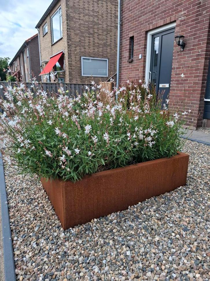 Mooie cortenstaal bloem- of plantenbakken! Op maat gemaakt, Tuin en Terras, Bloembakken en Plantenbakken, Ophalen of Verzenden