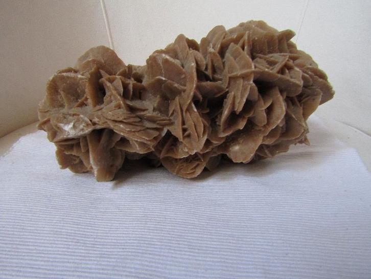 Prachtige gefossiliseerde „zandroos” van 2,6 kg, Verzamelen, Mineralen en Fossielen, Fossiel, Ophalen of Verzenden