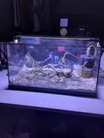 Aquarium 54L (60*30*30), Dieren en Toebehoren, Ophalen of Verzenden, Zo goed als nieuw, Leeg aquarium