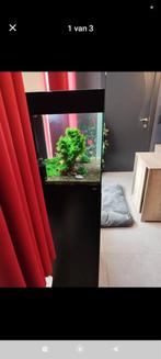Aquarium 70 liter, Ophalen