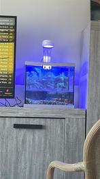 Nano LED lamp, Dieren en Toebehoren, Ophalen