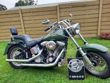 Harley davidson softail