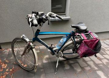 Gazelle fuente groot 65” aan 350€ beschikbaar voor biedingen
