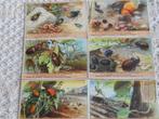 Liebig prenten: reeks van 6 chromo's Coléoptères terrestres, Verzamelen, Foto's en Prenten, Gebruikt, Ophalen of Verzenden, 1940 tot 1960