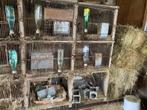 2 clapier a lapin en beton /cage a lapin model 1x6 et 3x2, Animaux & Accessoires, Rongeurs & Lapins | Cages & Clapiers, Lapin