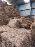 hooi en stro 2025, Dieren en Toebehoren, Dierenvoeding, Ophalen of Verzenden