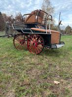 Wedstrijd Marathonkoets, Enlèvement