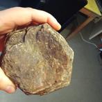 Gouden Shijn Saffier Ruw, hexagon, Ophalen of Verzenden, Mineraal