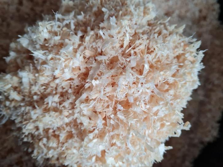 Schavelingen - Houtkrullen Fijn - 550L - 20kg - Stofvrij, Dieren en Toebehoren, Stalling en Weidegang