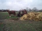 driewielkar, Zakelijke goederen, Ophalen, Veehouderij, Oogstmachine