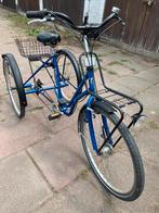 3 wieler eco trike, Fietsen en Brommers, Ophalen of Verzenden, Zo goed als nieuw