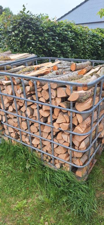 Brandhout Witte Abeel- zacht hout beschikbaar voor biedingen