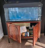 Meuble aquarium en acajou, Gebruikt