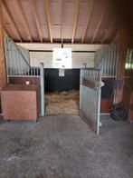 Stalling aangeboden, Dieren en Toebehoren, Stalling en Weidegang, Weidegang