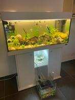 Compleet Aquarium met alle toebehoren en decoratie+Cadeau!, Ophalen, Zo goed als nieuw