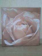 Canvas roos, Enlèvement, Comme neuf