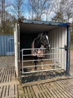 Varkensroosters, Dieren en Toebehoren