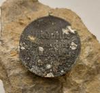 Duitse WO2 Medaille für deutsche Volkspflege, Verzamelen, Ophalen of Verzenden, Overige soorten, Embleem of Badge