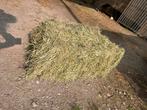Kleine balen hooi, Dieren en Toebehoren, Ophalen, Vee