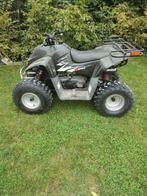 Quad dinly, Motoren, 1 cilinder, 100 cc, 11 kW of minder