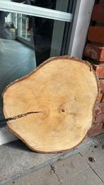 Beuken houten schijf, Ophalen of Verzenden, Beuken