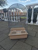 Papegaai kooi, Dieren en Toebehoren, Ophalen