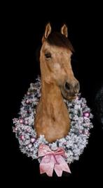 Super lieve, brave BRP D-pony, Dieren en Toebehoren, Pony's, Merrie, Met stamboom, Dressuurpony, L