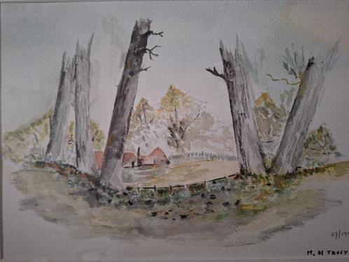 KOOPJE Mooie aquarel M. De Thaey Landschap met bomen 1997, Antiek en Kunst, Kunst | Tekeningen en Fotografie, Ophalen of Verzenden