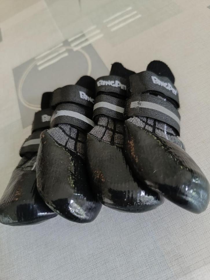 Hondenschoentjes, Dieren en Toebehoren, Honden-accessoires, Nieuw, Ophalen