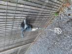 parkside mixer, Doe-het-zelf en Bouw, Ophalen, Gebruikt