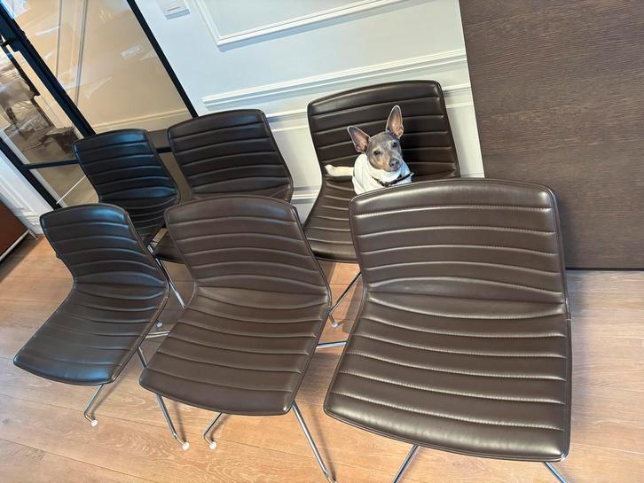 Arper 6 stoelen - Catifa - beuin leer, Huis en Inrichting, Stoelen, Zo goed als nieuw, Vijf, Zes of meer stoelen, Leer, Bruin