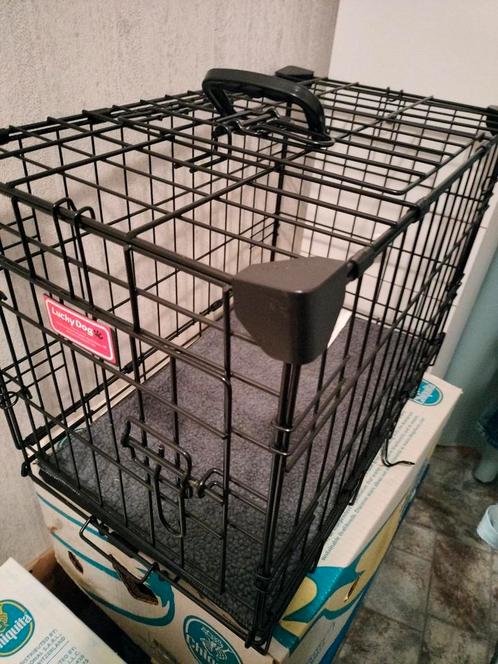 Bench voor kleine hond/ grote katten, Dieren en Toebehoren, Hondenhokken, Zo goed als nieuw, Hondenhok, Minder dan 65 cm, Minder dan 75 cm